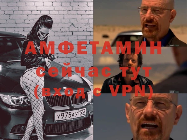 a pvp Бородино