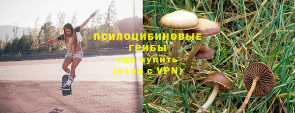 apvp Богородск