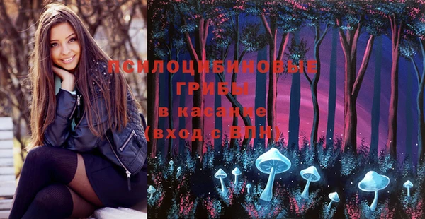 таблы Богданович